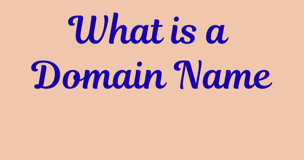 domain name meaning