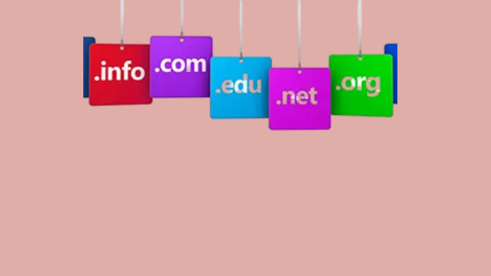 cost of a domain name