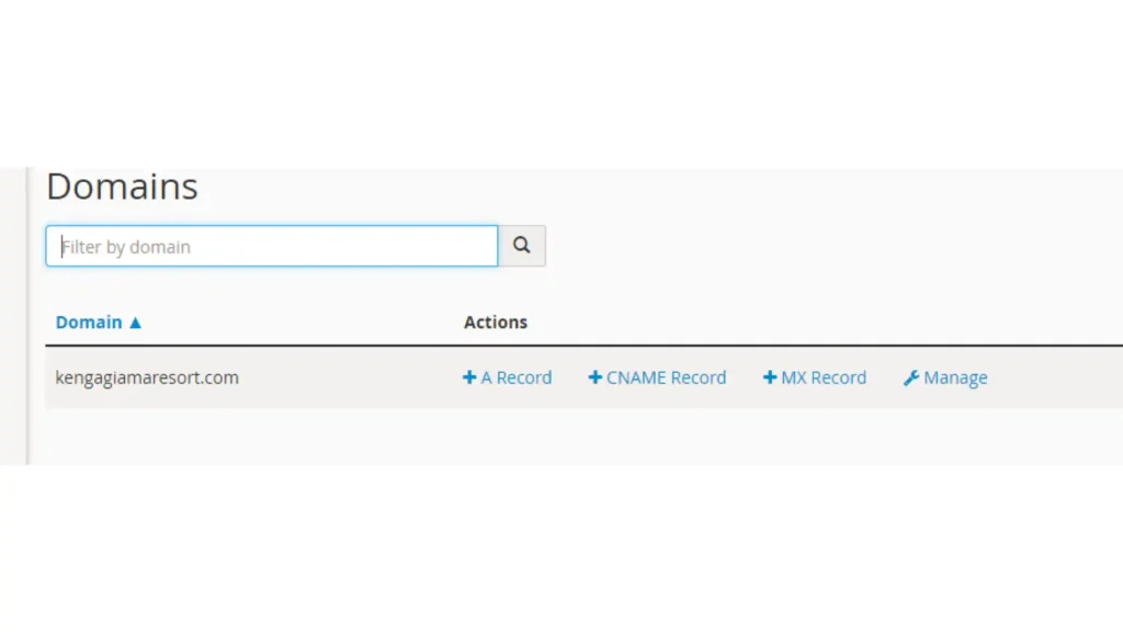 dns section