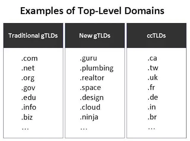 Types of Domains: Everything You Need to Know Before Registering One 2 What Are New Domain Extensions?
