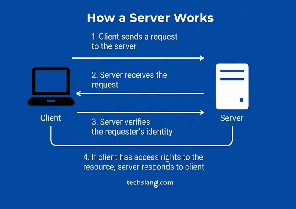 The Server Sends the Response Back to the Browser